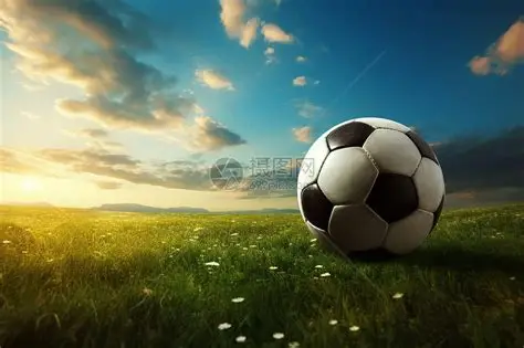 kaiyun·开云（中国）官方网站·kaiyun sports